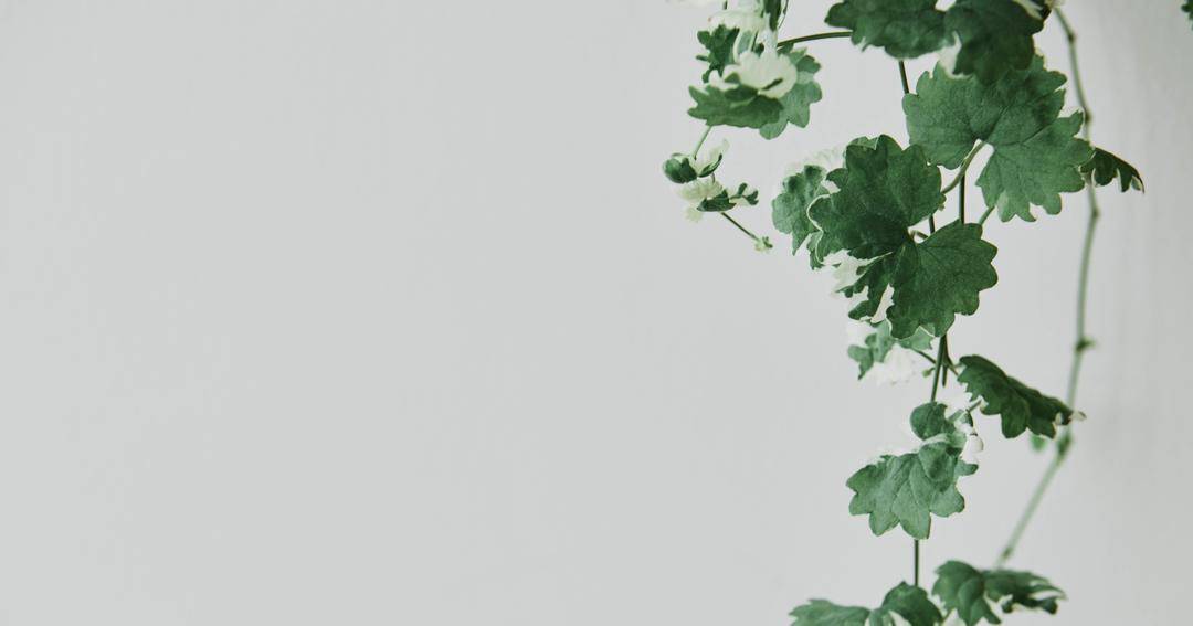 Freepik/rawpixel-com
